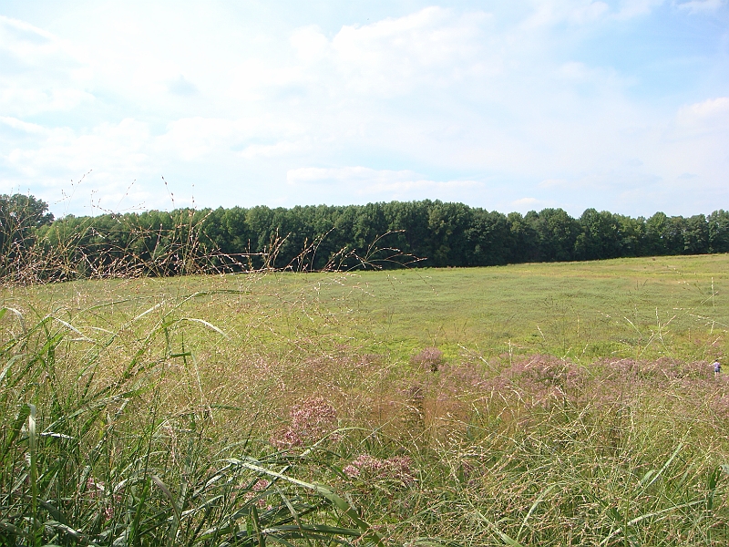 078 Longwood Gardens [2008 August 23].JPG - Longwood Gardens in Pennsylvania